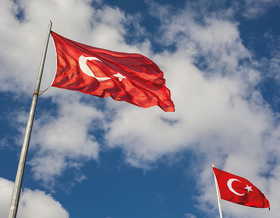 bayrak-direkleri-palm-pole